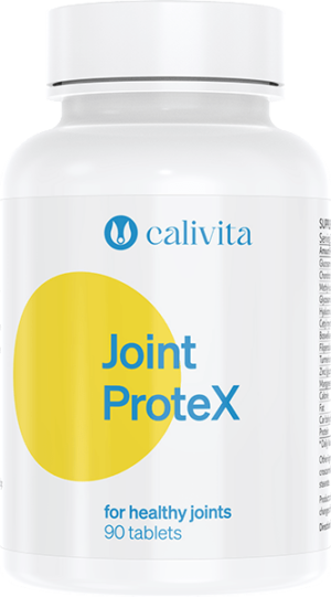 Joint Protex       90 tabletten