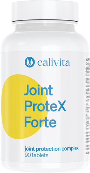 Joint Protex Forte       90 tabletten