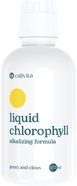 Liquid Chlorophyll 473 ml