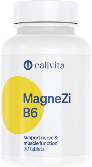 MagneZiB6       90 tabletten